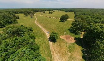 County Road 113, Alton, MO 65606