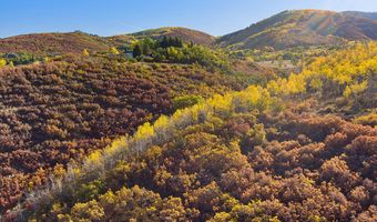 Trentaz Drive, Aspen, CO 81611