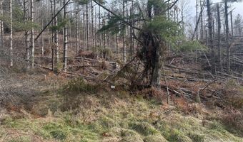 99999 White Pine Ln, Bakersville, NC 28705