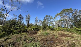 75-1306 KEOPU MAUKA Dr, Holualoa, HI 96725