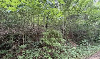 5 Lots Fortunato Dr, Baneberry, TN 37890