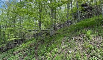 4 Fox Pointe Dr, Banner Elk, NC 28604
