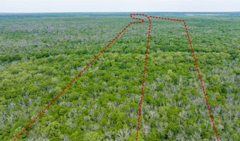 CR 4630, Annona, TX 75550
