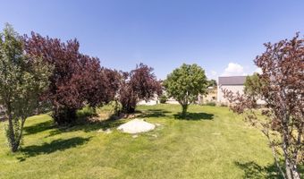 6957 Horsehaven Dr, Elko, NV 89801