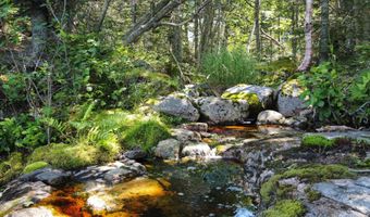 Lot 9-1 Black Duck Cove Road, Beals, ME 04611
