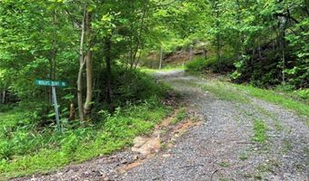 31 Reillys Bluff Rd 2, Barnardsville, NC 28709