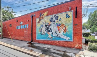 11043 Stetler St, Charlotte, NC 28204