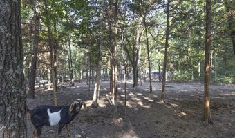 3191 State Hwy Dd Pvt Dr B Tract 5, Ava, MO 65608
