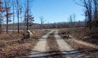 3968 Highway 167, Ash Flat, AR 72513
