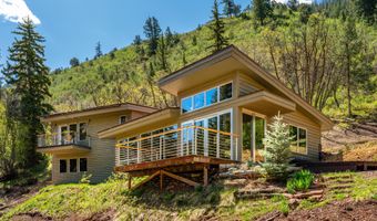 768 Kings Lake Rd, Basalt, CO 81621