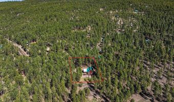954 Pine Tree Dr, Bayfield, CO 81122