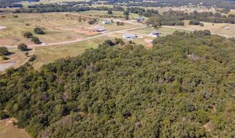 330 Rolling Ranch Blvd, Alvord, TX 76225