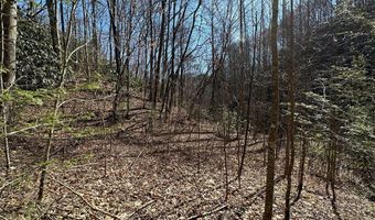 Lot 7 Valley View Heights Lane, Andrews, NC 28901