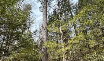 385 ELK CREEK Rd, Aaronsburg, PA 16820