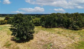 Tbd Tract 5 Fm-2819, Anderson, TX 77830