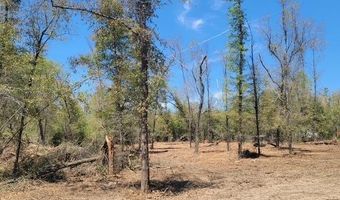 BLK 211 Vancouver Drive lot 21, Alford, FL 32420