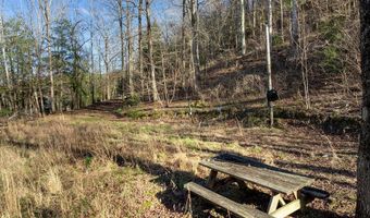 597 COUNTY ROAD 4028, Arley, AL 35541