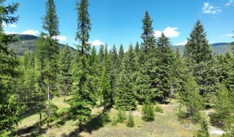 Nna 196 Acres Hwy 95, Bonners Ferry, ID 83805
