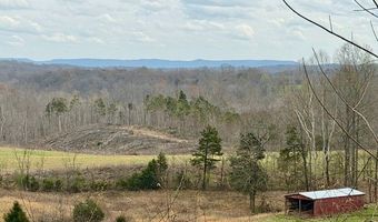 10 Acres Bob Dennings Rd, Allons, TN 38541