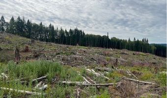 Northrup Creek Rd, Birkenfeld, OR 97016