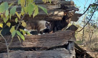 4775 S 50th Rd, Aldrich, MO 65601