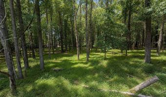 Mountain Rd Lot 521, Albrightsville, PA 18210