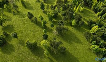 58 Acres Naples Ln, Arab, AL 35016