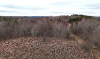 011-010 2 Monument Rd, Amity, ME 04471