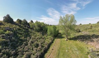 1700 N Sadorus Hill Rd, Ashton, ID 83420