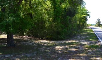 214 Lakepoint Rd, Alford, FL 32420