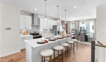 12347 MYSTIC MAROON Ter, Ashburn, VA 20147