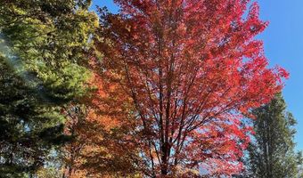 82 Rileigh Ridge Rd, Blairsville, GA 30512