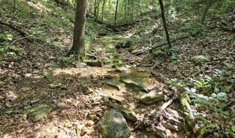 65 Acres Plainview Rd, Anderson, MO 64831