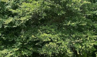 Monticello Road, Albemarle, NC 28001