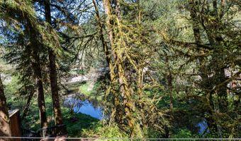 10265 RIDGE VIEW Ter, Birkenfeld, OR 97016