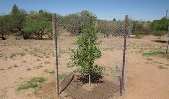 318 S Cochise Ln 62, Benson, AZ 85602