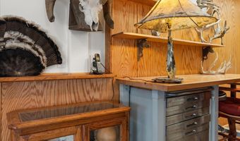 238 Hawk Ln, Basalt, CO 81621