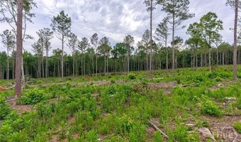 Wilson Lane, Arnoldsville, GA 30619