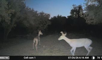 489 County Road 243, Afton, TX 79220