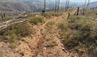 Pine Acres Rd, Bellvue, CO 80512