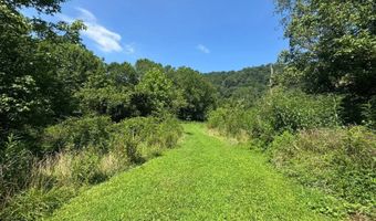 179 Cow Ln, Arnoldsburg, WV 25234