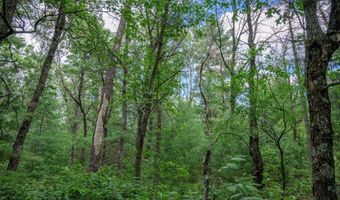 5 Ac 19th Ct, Arkdale, WI 54613