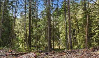 NW Green Mountain Rd 1, Banks, OR 97106