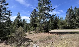 203 Richardsons Ridge Rd, Careywood, ID 83809