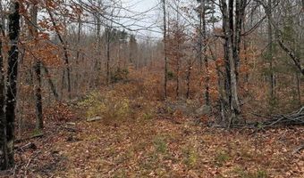 M5/L27 Pond Road, Abbot, ME 04406