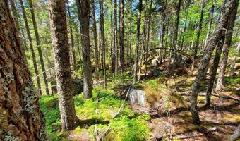 Spruce Mountain Lake, Beddington, ME 04622