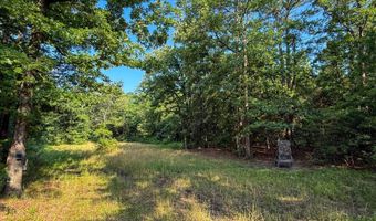Old Moyers Road, Antlers, OK 74523