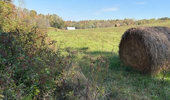 Bill Purdue Rd, Albany, KY 42602