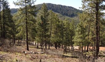 1142 Deer Ridge Dr, Bayfield, CO 81122