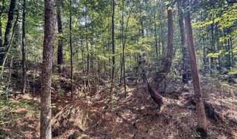 2435 Brignall Rd, Brookhaven, MS 39601